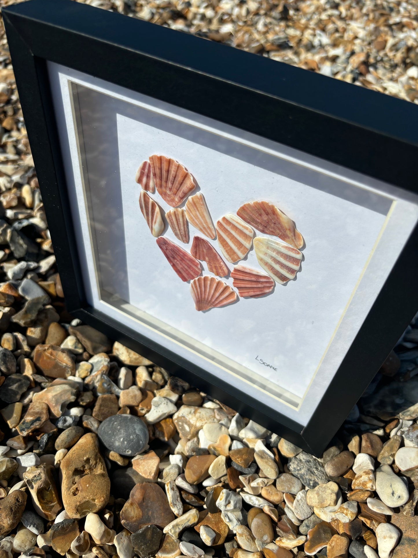 Scallop shell heart
